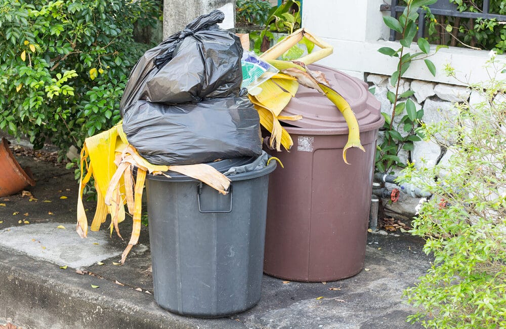 What could make the dog poop smell worse What could make the dog poop smell worse