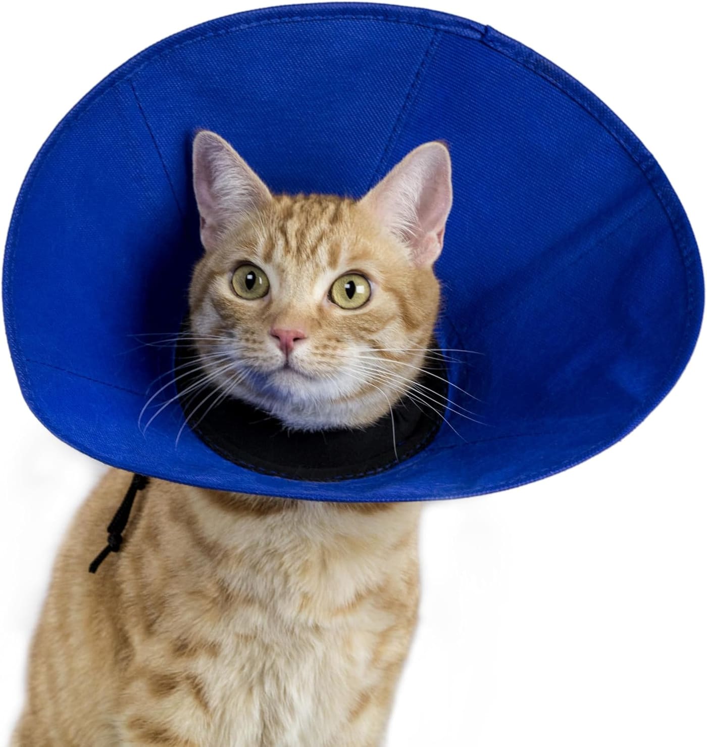 Softer E-collars