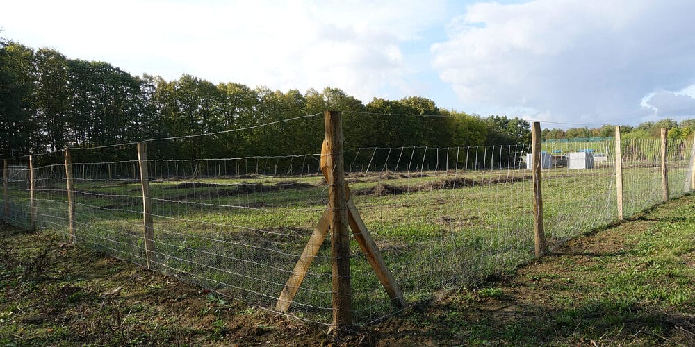 Use chicken wire at the base of the fence Use chicken wire at the base of the fence