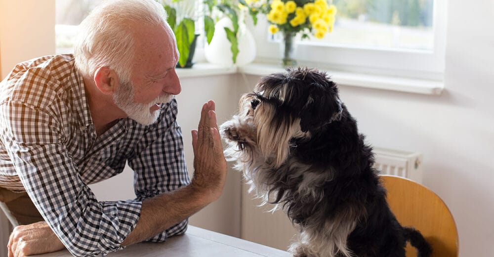 Use positive reinforcement training Use positive reinforcement training