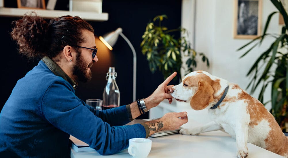 Supervision and Training Supervision and Training