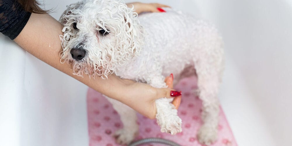 Method 1 – Lemon Juice Method 1 - Lemon Juice