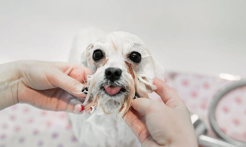 Method 2 – Baking Soda Method 2 - Baking Soda