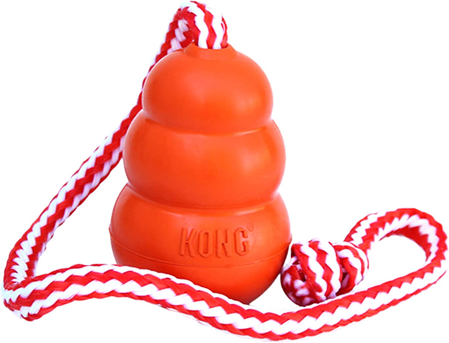 The KONG Aqua Dog Toy