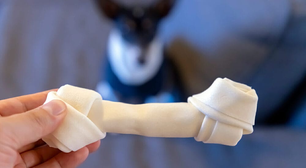 Rawhides Are Convenient for Pet Owners Rawhides Are Convenient for Pet Owners