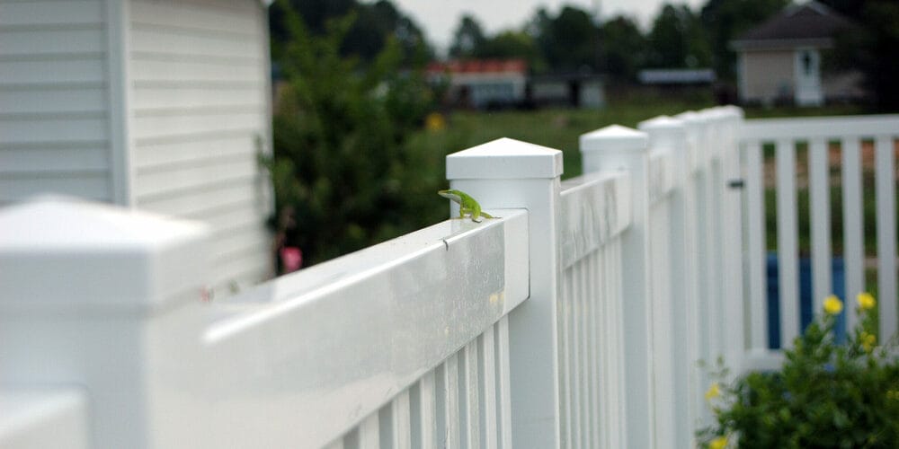 Vinyl fencing for dogs Vinyl fencing for dogs