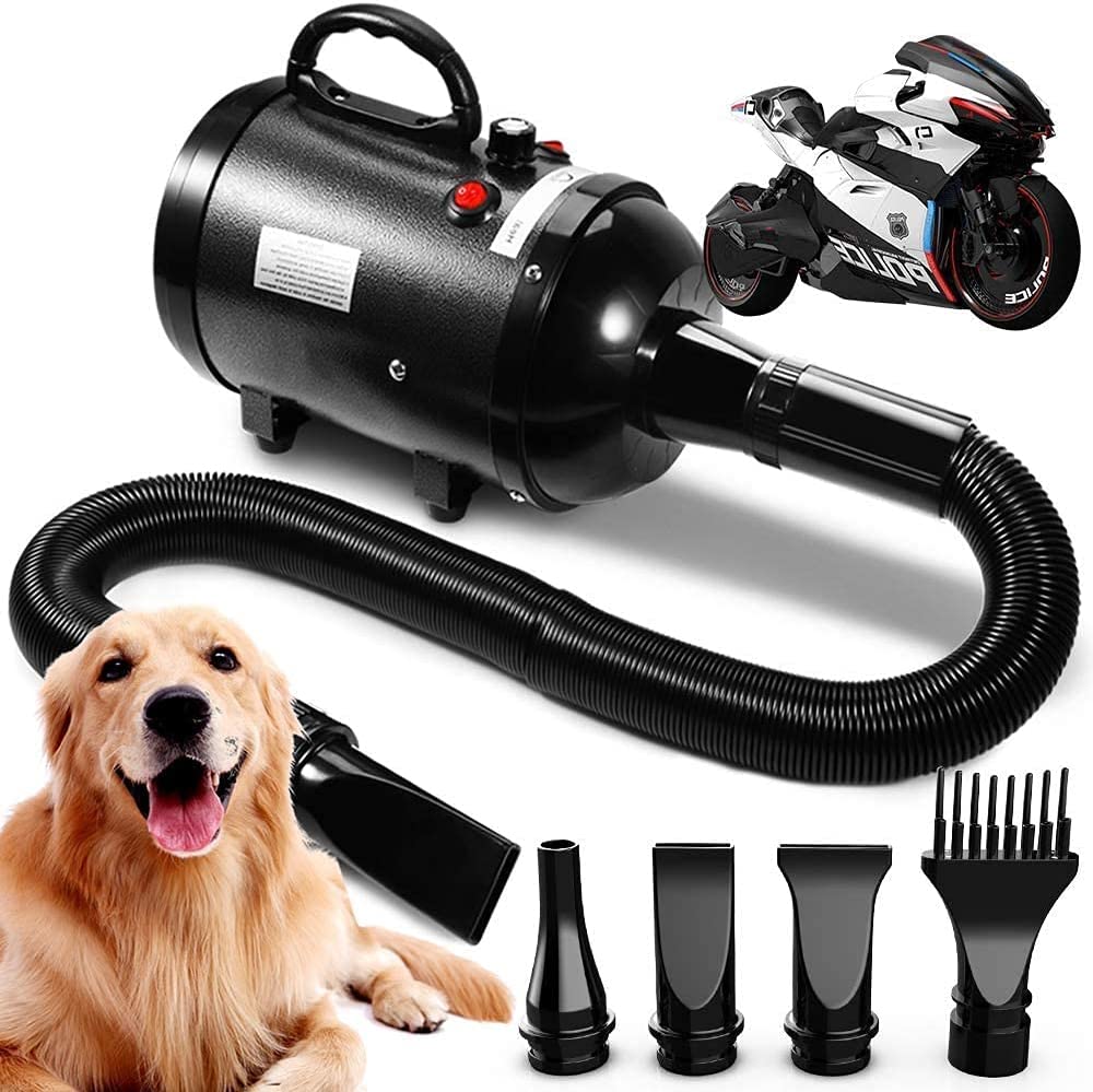 Best Dog Dryer