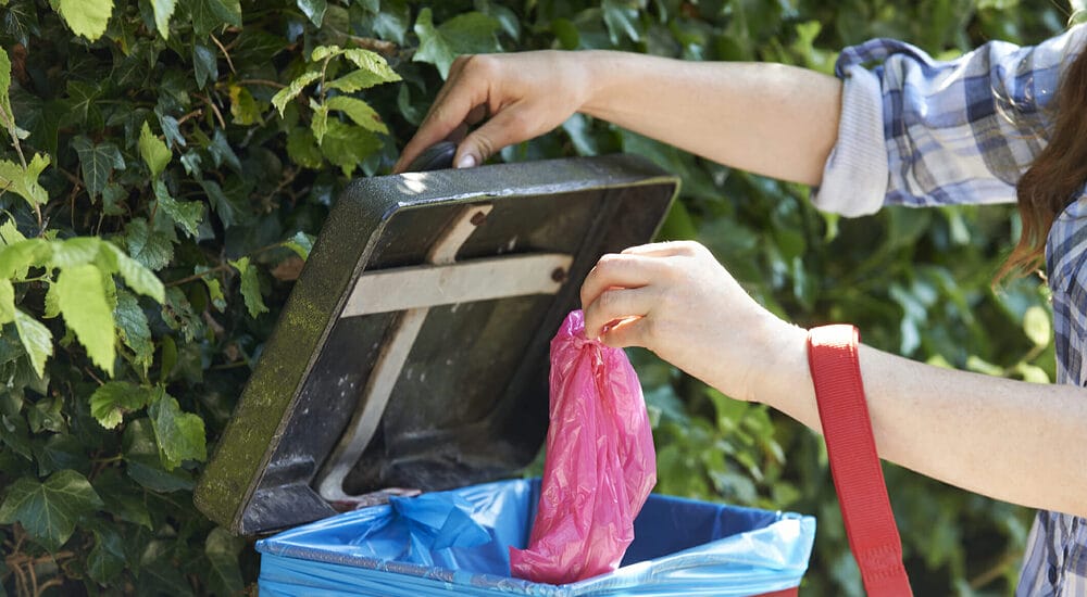 How To Store Dog Poop Until Garbage Day? How To Store Dog Poop Until Garbage Day?