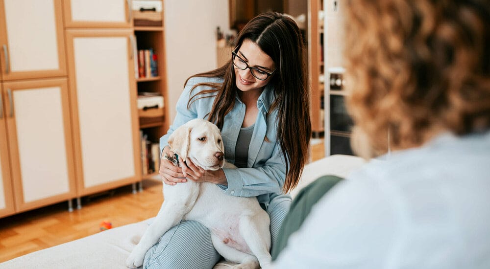 Is your puppy too excited? Is your puppy too excited?