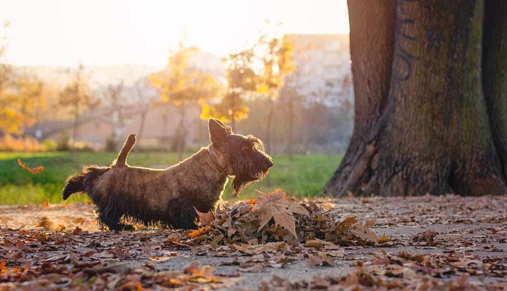 Other Things To Consider Other Things To Consider