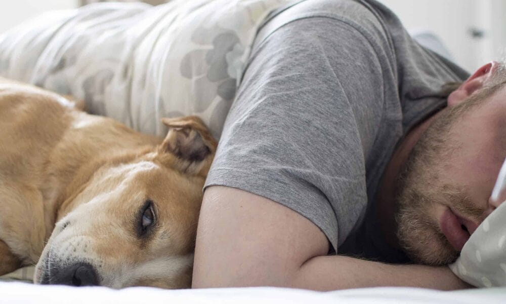 3. Pain or Discomfort 3. Pain or Discomfort