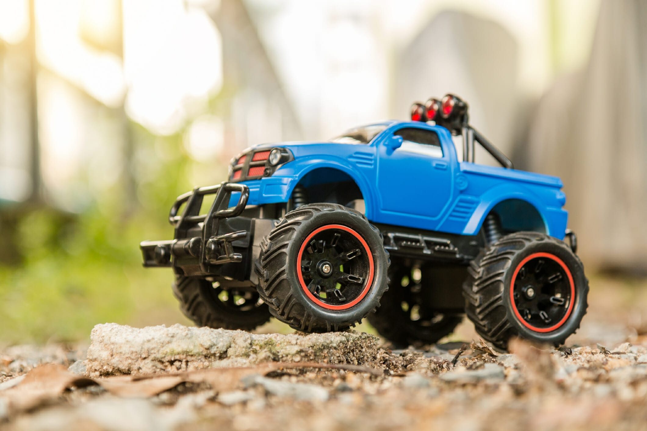 5 Best Remote Control Cars For Dogs To Chase In 2026!