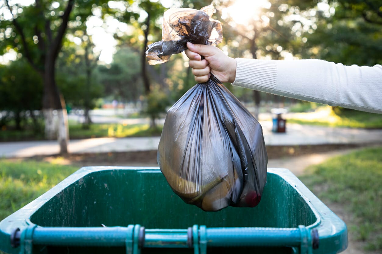Can You Put Dog Poop in the Green Bin? (Manage Your Pup’s Waste) 