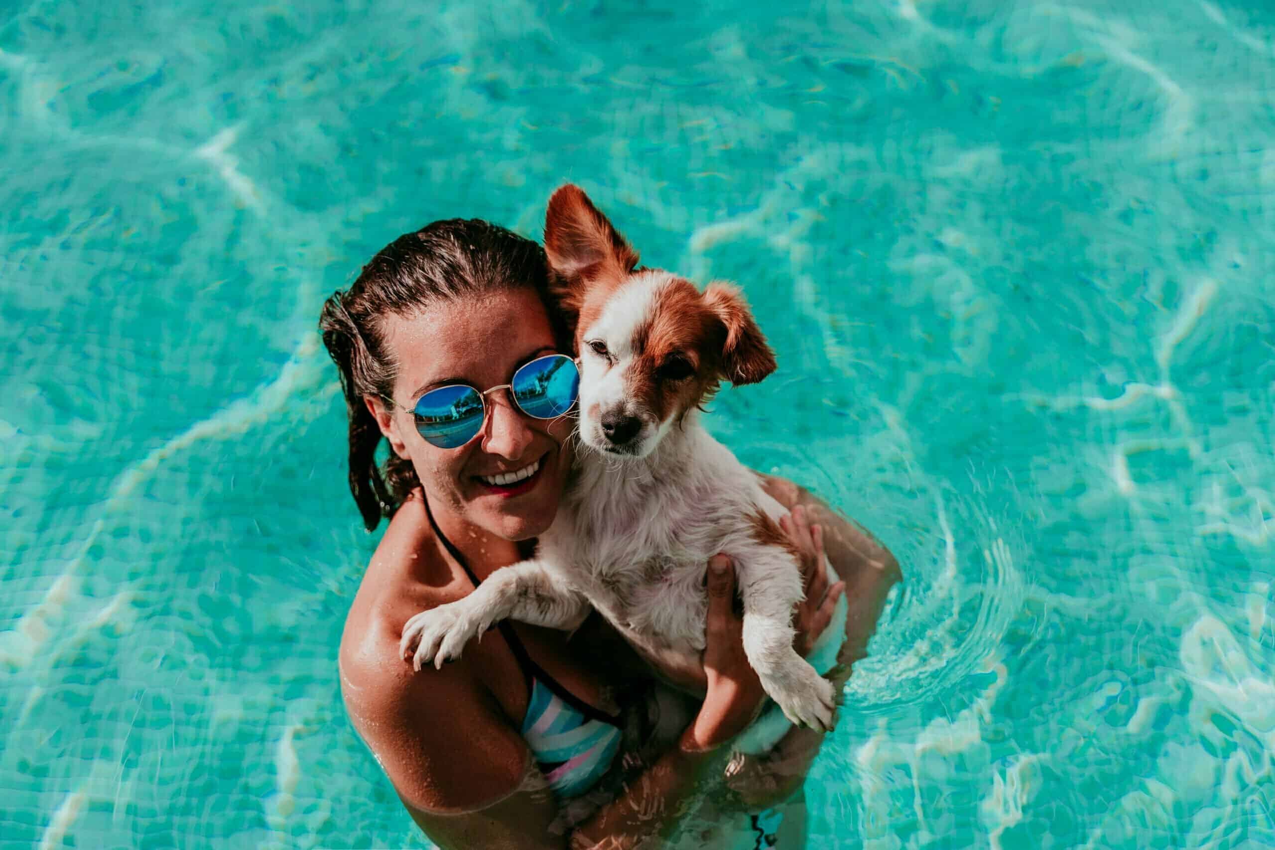 Why Does My Dog Pee in the Pool?
